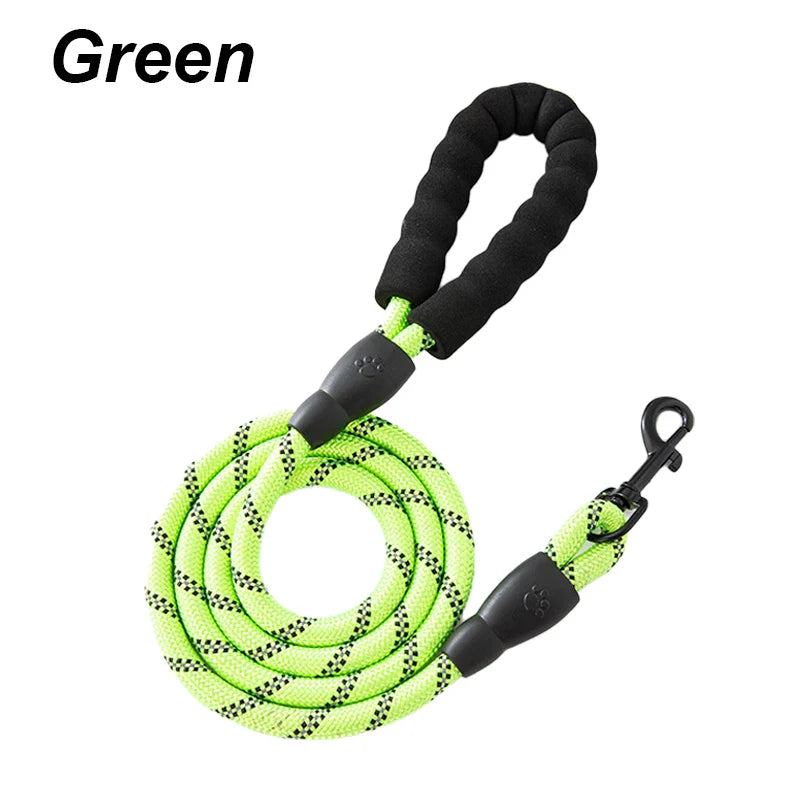 🎁 Crandon Goods™ Reflective Nylon Dog Leash (3M) – Non-Slip Foam Handle, Adjustable Heavy-Duty Lead for Small, Medium & Large Dogs (100% off)
