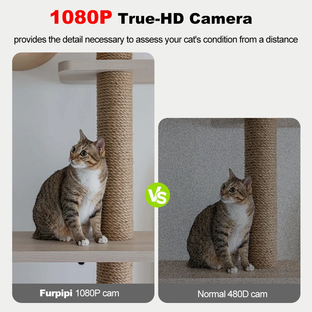 8L WIFI Smart Pet Feeder