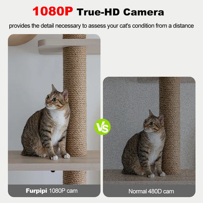 8L WIFI Smart Pet Feeder