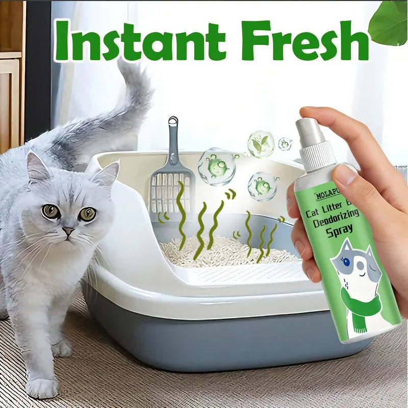 Eliminate Litter Box Odors — Instantly