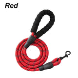 🎁 Crandon Goods™ Reflective Nylon Dog Leash (3M) – Non-Slip Foam Handle, Adjustable Heavy-Duty Lead for Small, Medium & Large Dogs (100% off)