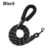 Crandon Goods™ Reflective Nylon Dog Leash (3M) – Non-Slip Foam Handle, Adjustable Heavy-Duty Lead for Small, Medium & Large Dogs