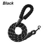 🎁 Crandon Goods™ Reflective Nylon Dog Leash (3M) – Non-Slip Foam Handle, Adjustable Heavy-Duty Lead for Small, Medium & Large Dogs (100% off)