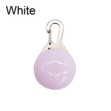 Crandon Goods™ LED Pet Safety Collar Pendant – Glowing Night Light Tag for Dogs & Cats | Bright Clip-On Collar Accessory