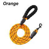 Crandon Goods™ Reflective Nylon Dog Leash (3M) – Non-Slip Foam Handle, Adjustable Heavy-Duty Lead for Small, Medium & Large Dogs