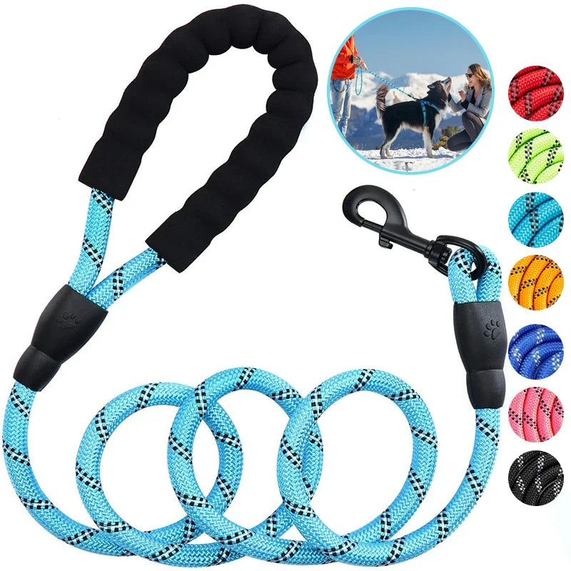 🎁 Crandon Goods™ Reflective Nylon Dog Leash (3M) – Non-Slip Foam Handle, Adjustable Heavy-Duty Lead for Small, Medium & Large Dogs (100% off)
